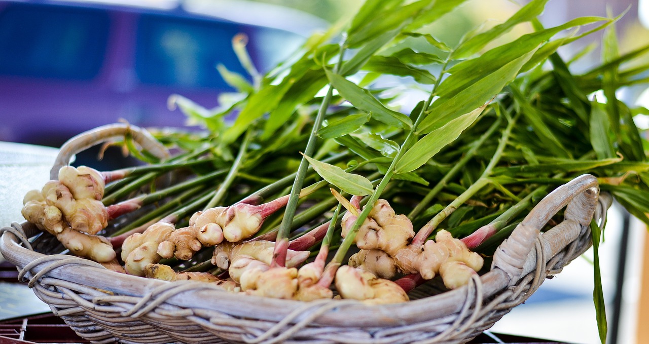 Kolesterol Tinggi? Coba 9 Tanaman Herbal Ini untuk Menurunkannya