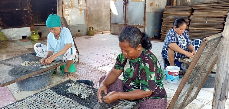 Potensi Bisnis Cicak Kering yang Lagi Hits, Perkilo Dihargai Rp380 Ribu, Ternyata ini Manfaatnya