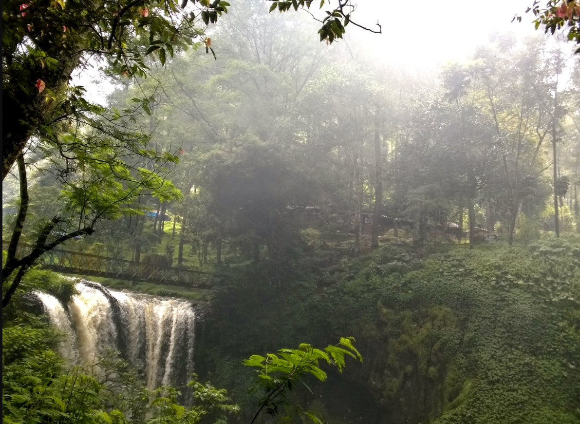 Hutan Raya Juanda Dago Bandung: Keajaiban Alam di Tengah Kota
