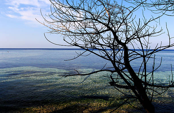 5 Tempat di Pulau Wakatobi yang Paling Wajib Dikunjungi