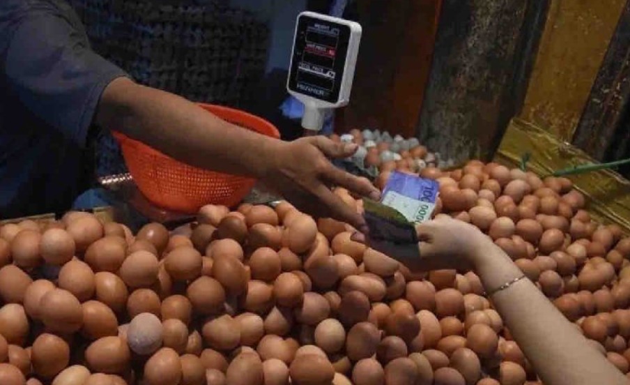 Beras dan Minyak Goreng Turun, Telur Ayam Naik Jadi Rp31.690 per Kg