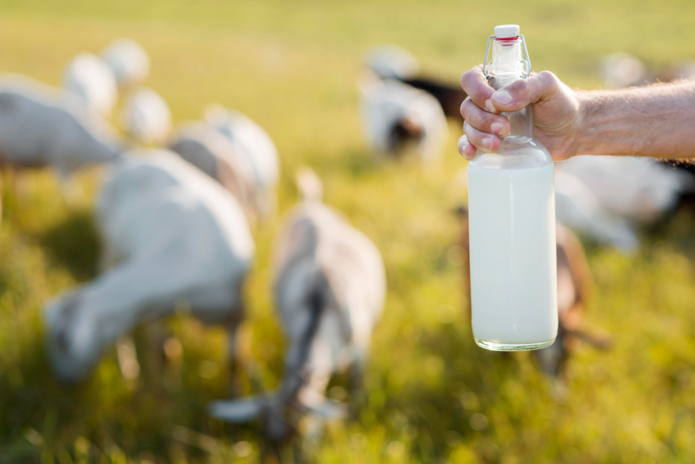 Rahasia Kulit Glowing: 5 Manfaat Susu Kambing untuk Kecantikan Kulit Anda