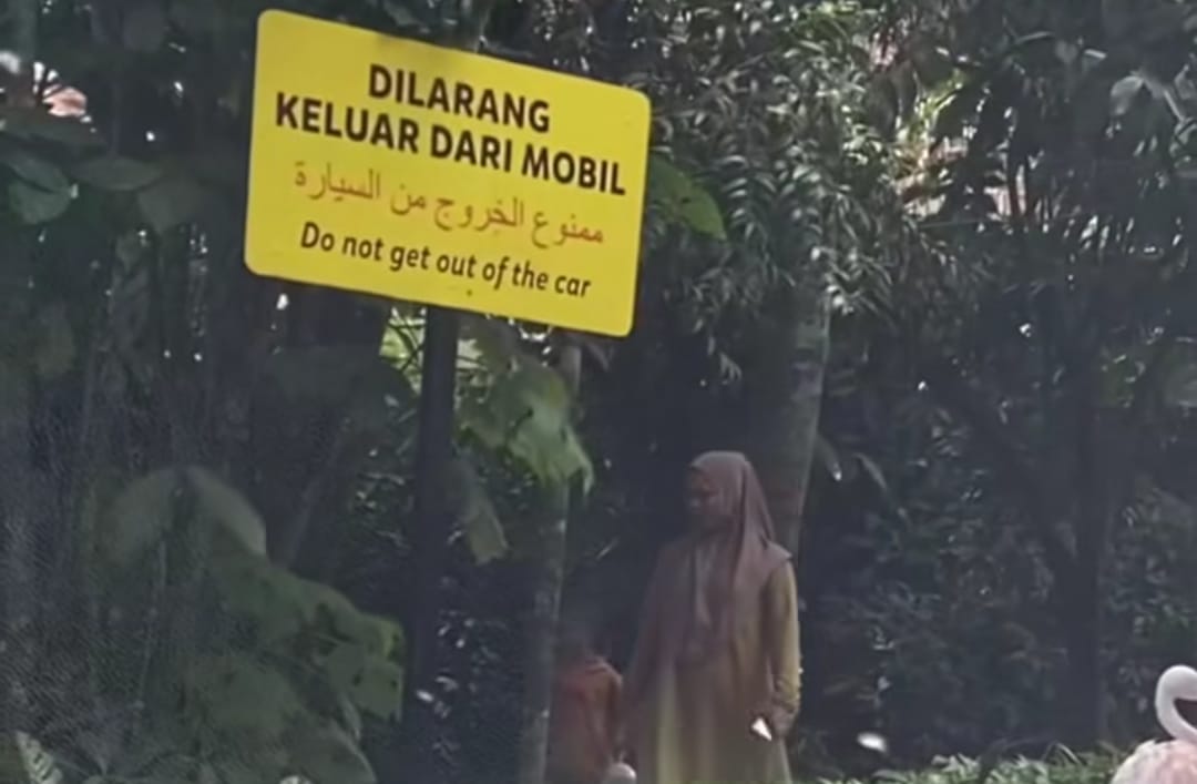 TSI Bogor Buka Suara Terkait Pengunjung yang Turun dari Mobil Saat Safari Journey