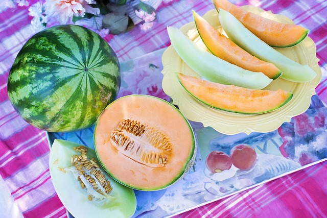 5 Manfaat Buah Melon yang Kaya Akan Vitamin dan Nutrisi    