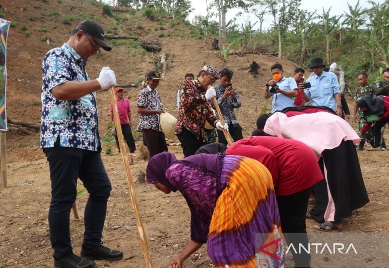 Pemkab Kuningan Perluas Penanaman Padi Gogo untuk Tingkatkan Ketahanan Pangan