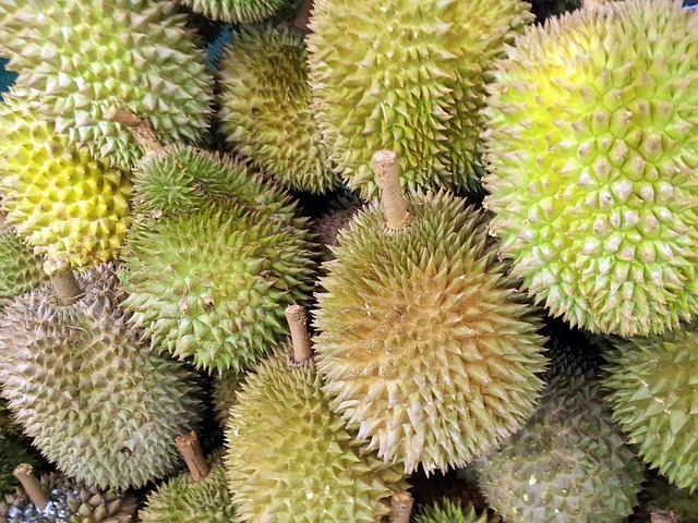 Manfaat Buah Durian untuk Kesehatan dan Dampak Mengkonsumsi Berlebihan!   