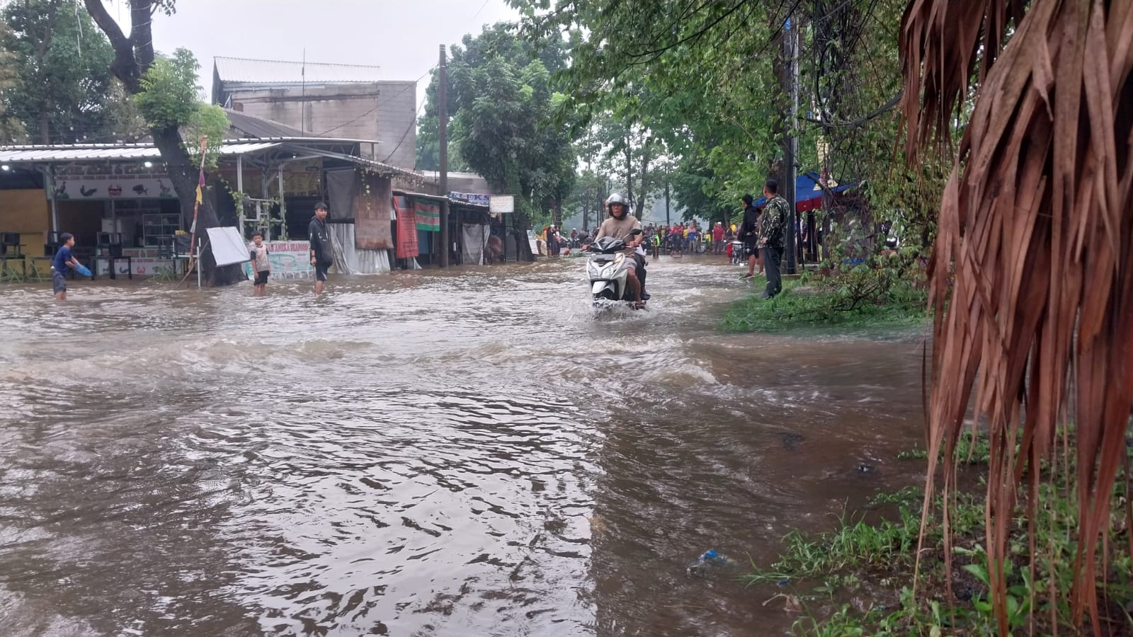 Tak Jauh dari Lingkungan Pemkab Bogor, Jalanan Terendam Air Akibat Luapan Setu Cikaret