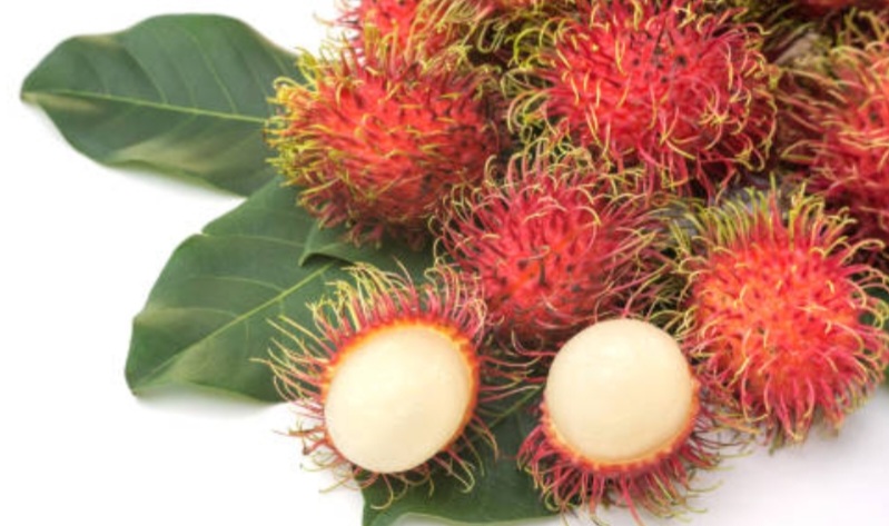 6 Manfaat Luar Biasa Buah Rambutan yang Jarang Diketahui