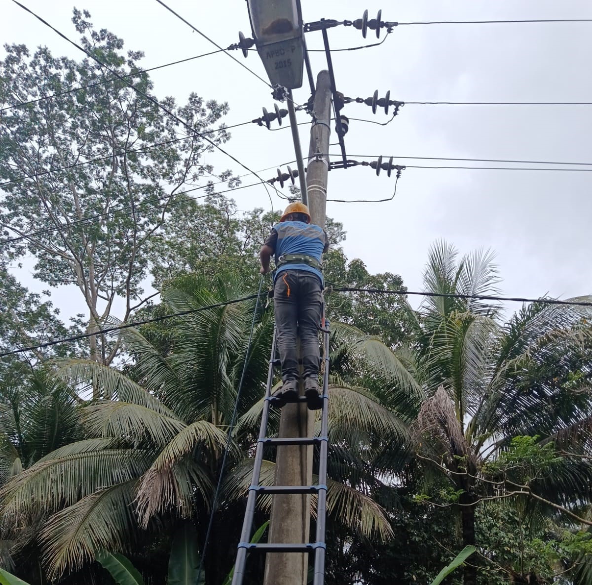 PLN Icon Plus SBU Regional Jawa Barat Konsisten Lakukan Patroli dan Perapihan Kabel Fiber Optik