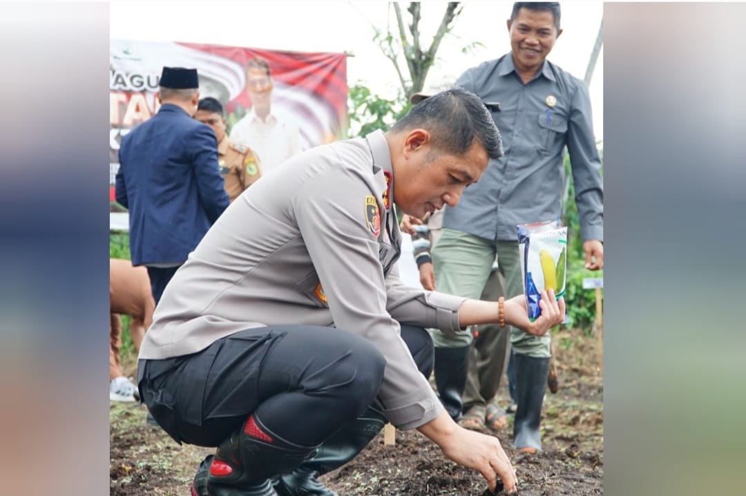 Polresta Bandung Tanam Jagung di Ciparay, Kombes Pol Aldi: Dukung Ketahanan Pangan Nasional