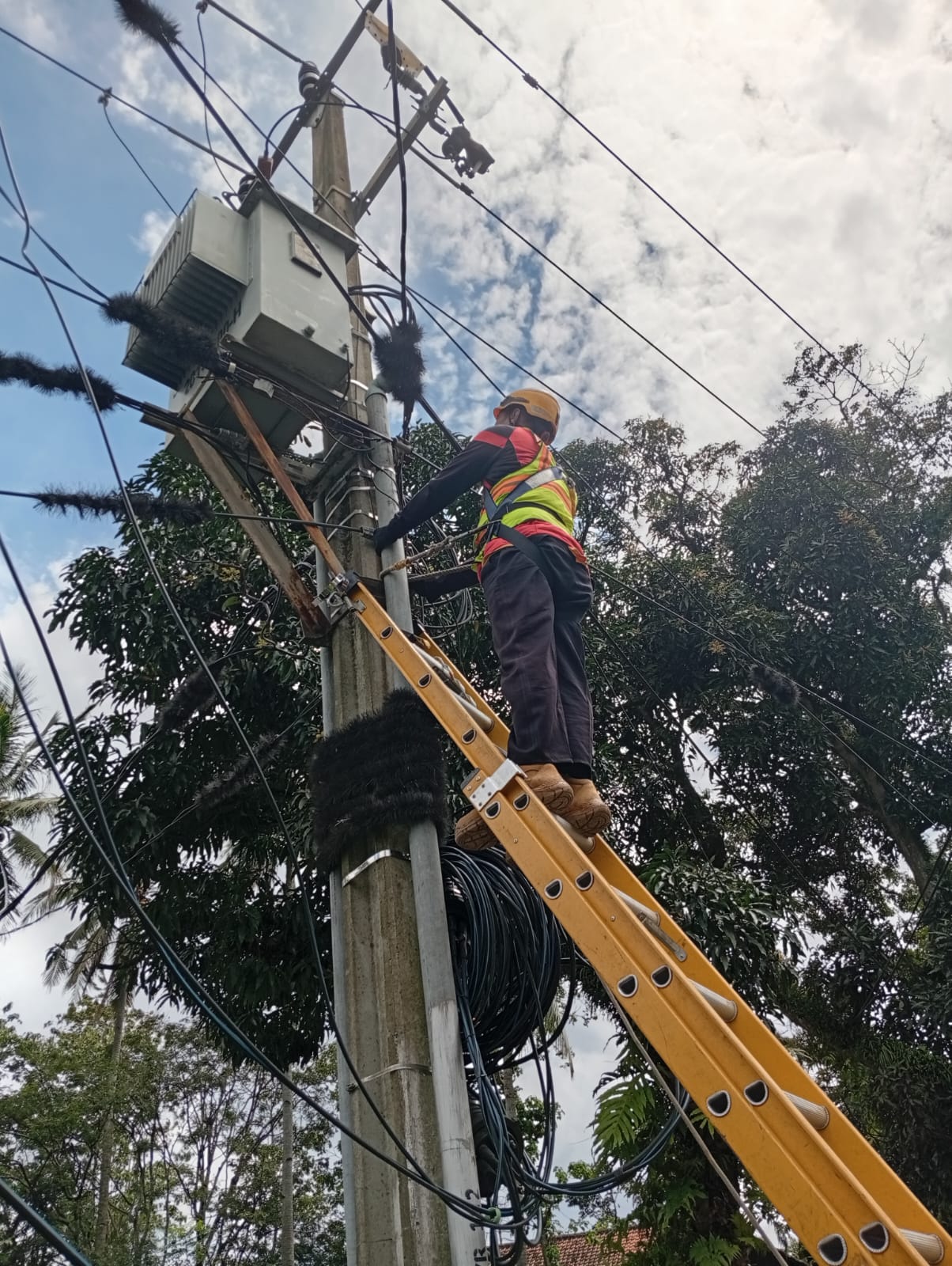 PLN Icon Plus Lakukan P3AK di Kecamatan Cimalaka untuk Jaga Keandalan Jaringan