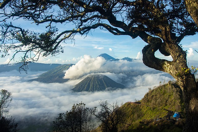 Destinasi Wisata Malang yang Menyimpan Keajaiban Alam dan Budaya yang Memikat Hati !