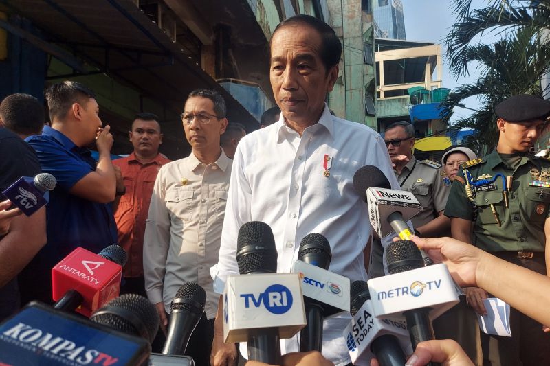 Presiden Jokowi Akan Mendistribusikan 38 Sapi ke Tiap Provinsi