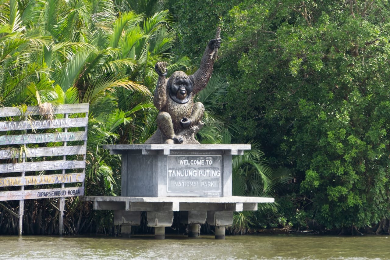 5 Fakta Menarik tentang Taman Nasional Tanjung Puting