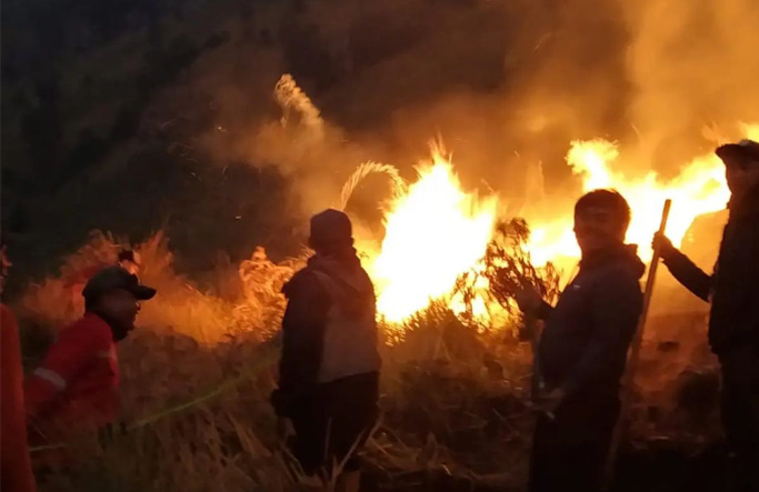 Manajer WO Jadi Tersangka Penyebab Kebakaran Savana Bukit Teletubbies Gunung Bromo