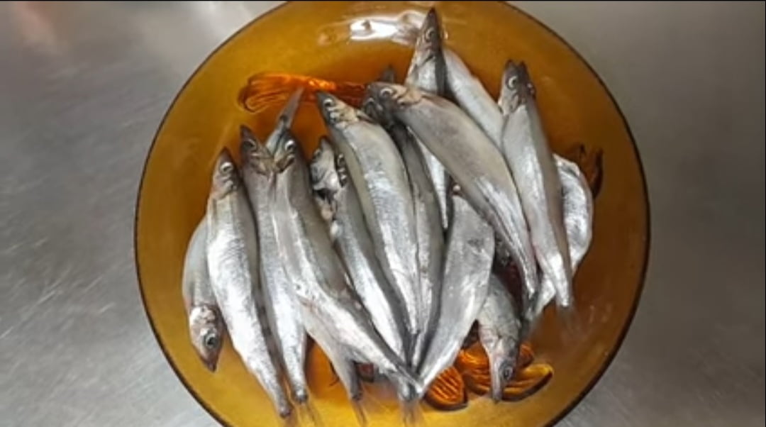 Serba Serbi Ikan Shisamo Yang Viral Dimakan Rayyanza Cipung Segini