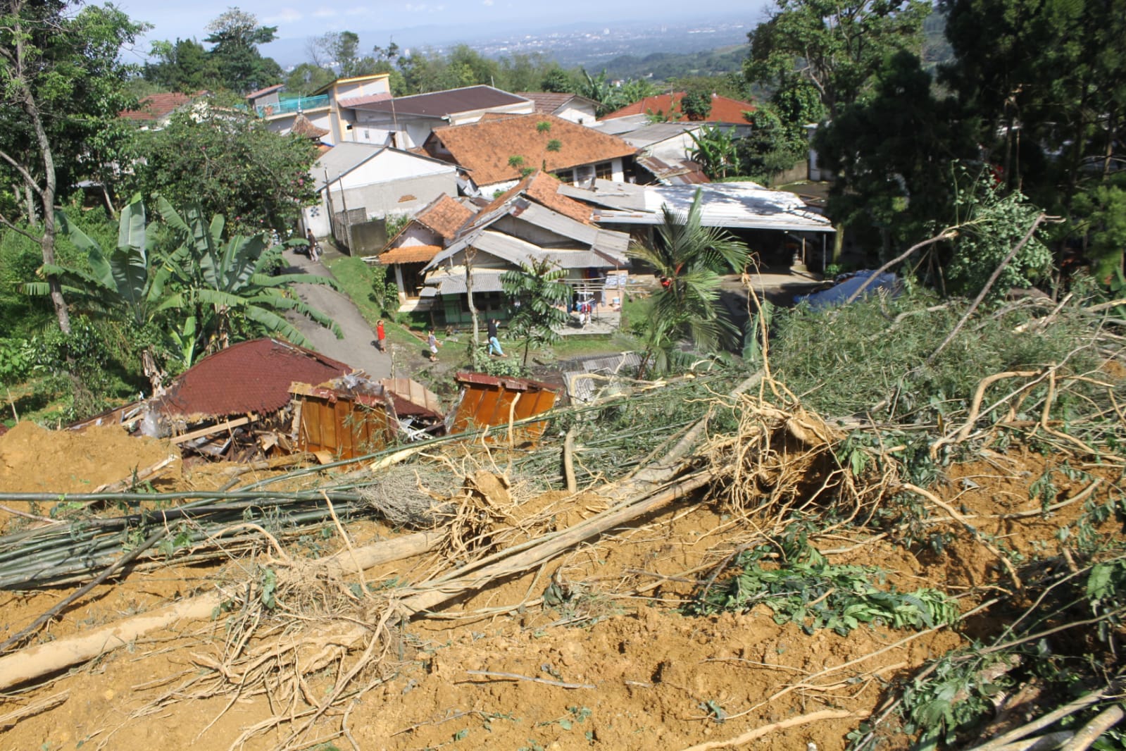 Gunung Geulis di Bogor Longsor, 6 Vila Hancur, Puluhan Warga Mengungsi
