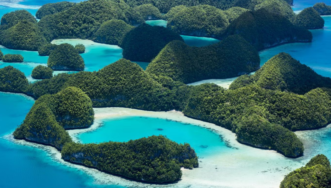 5 Fakta Menarik Pulau Palau yang Memikat Hati Wisatawan