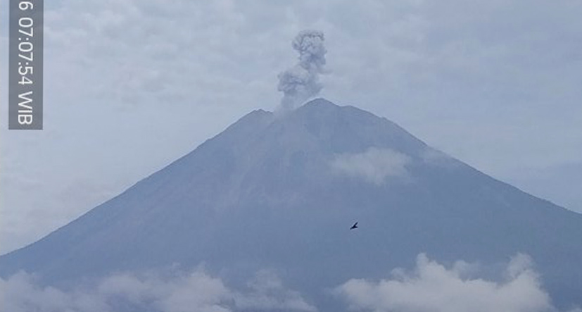 5 Kali Letusan Gunung Semeru Hari Ini Hasilkan Debu 600 Meter