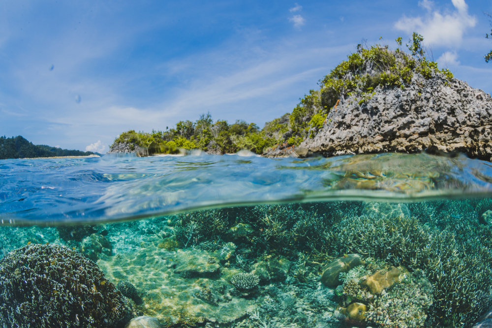 Menikmati Keindahan Alam yang Menakjubkan dan Memukau di Pulau Harapan, Kepulauan Seribu