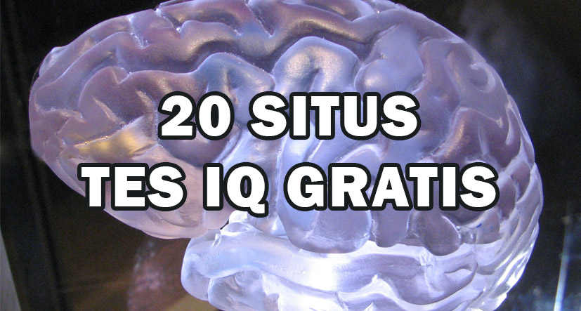 20 Situs Tes IQ Gratis Online untuk Mengetahui Tingkat Kecerdasan Intelektual