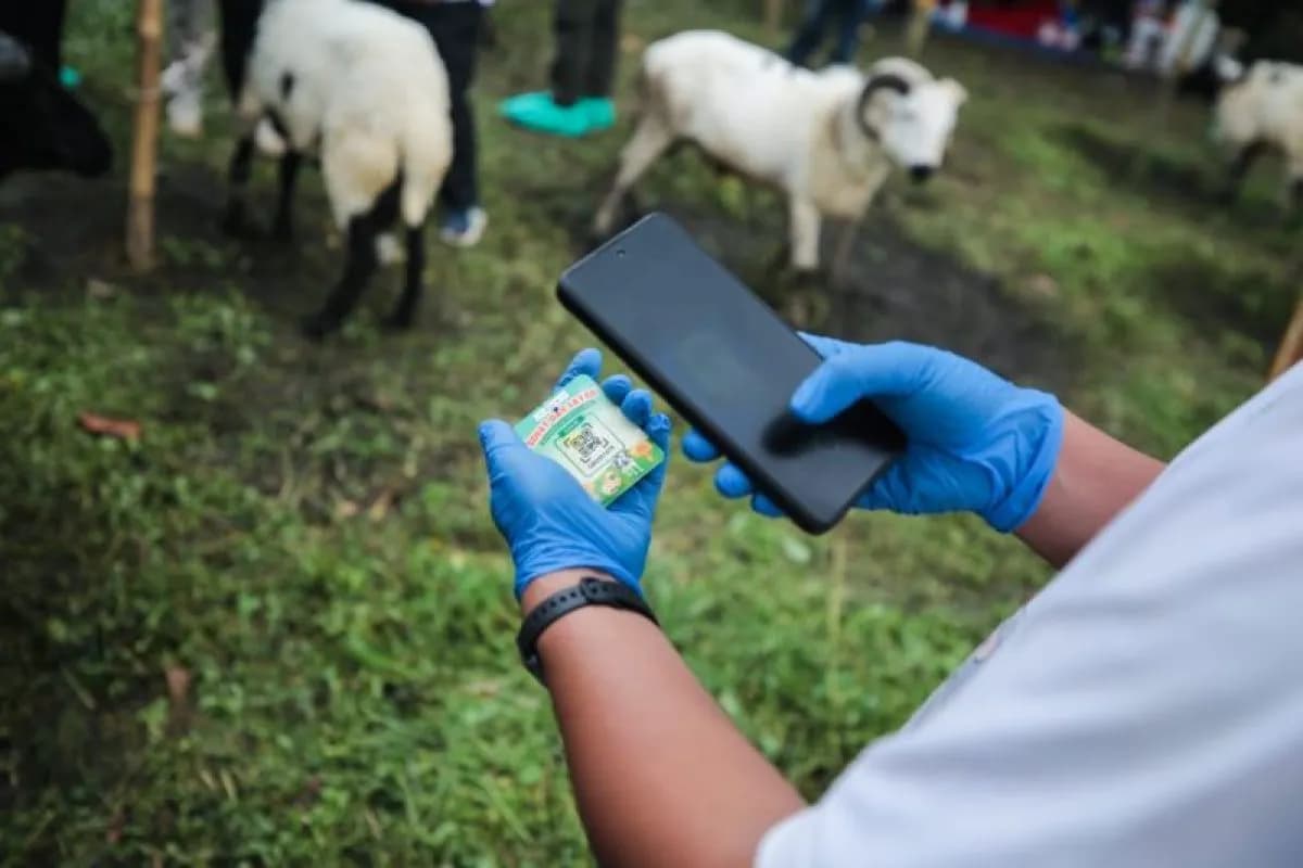 Warga Bandung Diminta Cek Barcode Sebelum Membeli Hewan Kurban