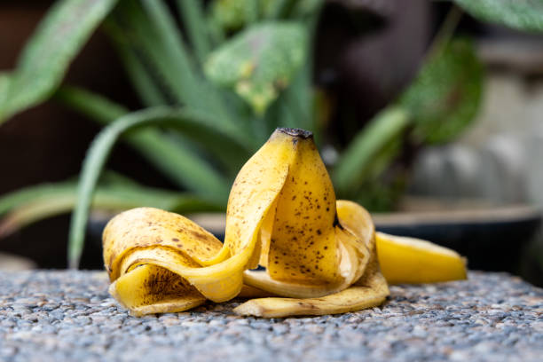 Jangan Dibuang! Kenali 9 Manfaat Kulit Pisang, Bagus untuk Tanah dan Tanaman