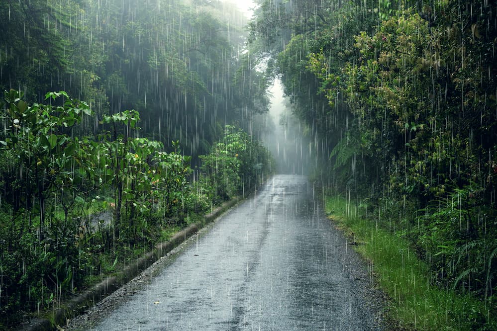 Prakiraan Cuaca Ekstrem di Sejumlah Provinsi Indonesia: Hujan Lebat dan Angin Kencang Melanda Sejumlah Daerah