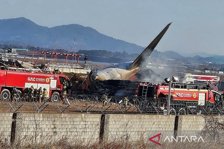 Tragedi Jeju Air: Hanya 2 Orang Selamat dari 181 Penumpang, 179 Korban Meninggal