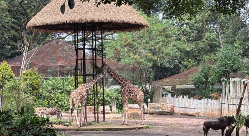 Libur Lebaran, Pemkot Bandung Wacanakan Pembukaan Bandung Zoo