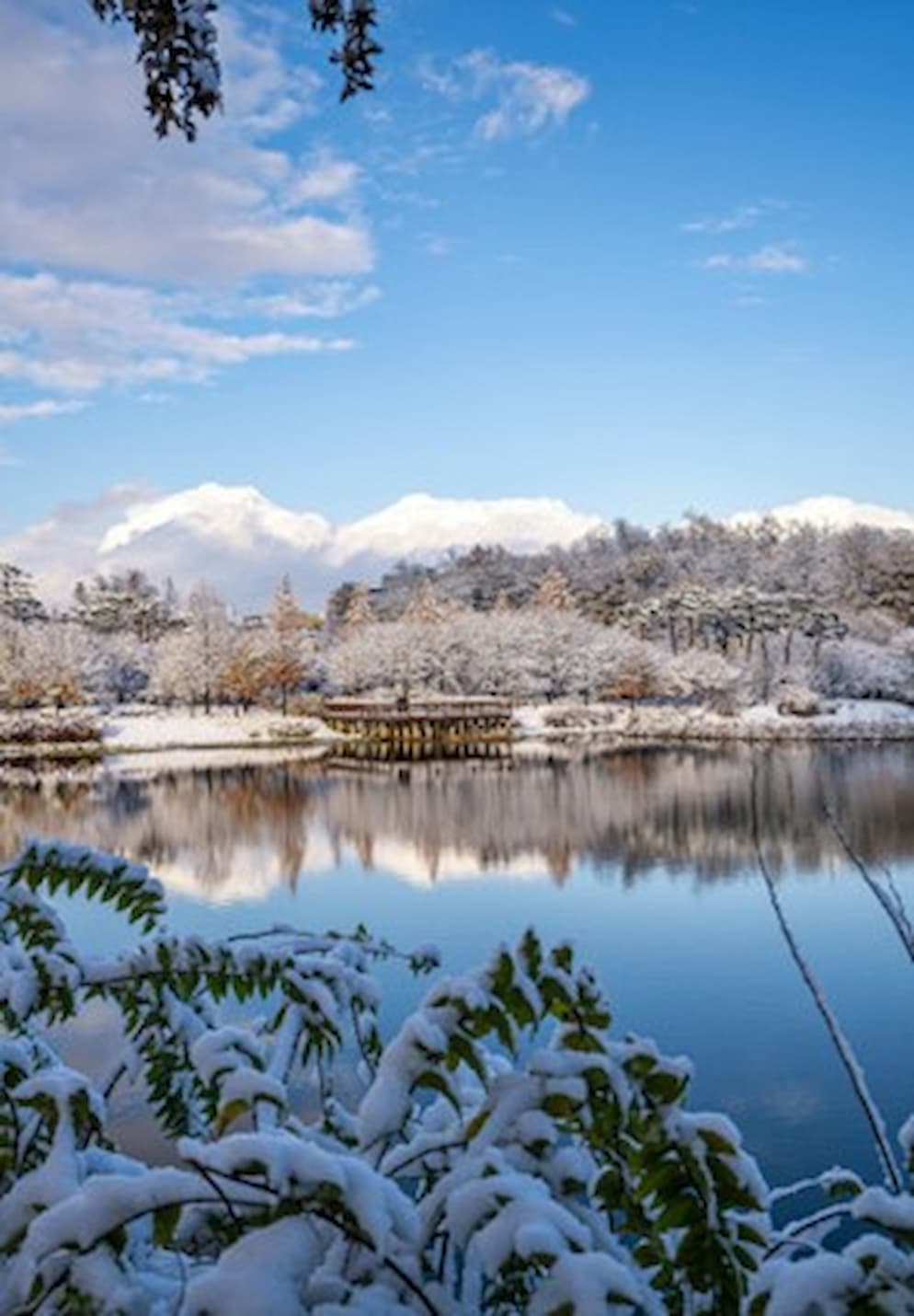 Liburan Keluarga Seru! Ini Rekomendasi Tempat Wisata di Korea Selatan saat Musim Salju