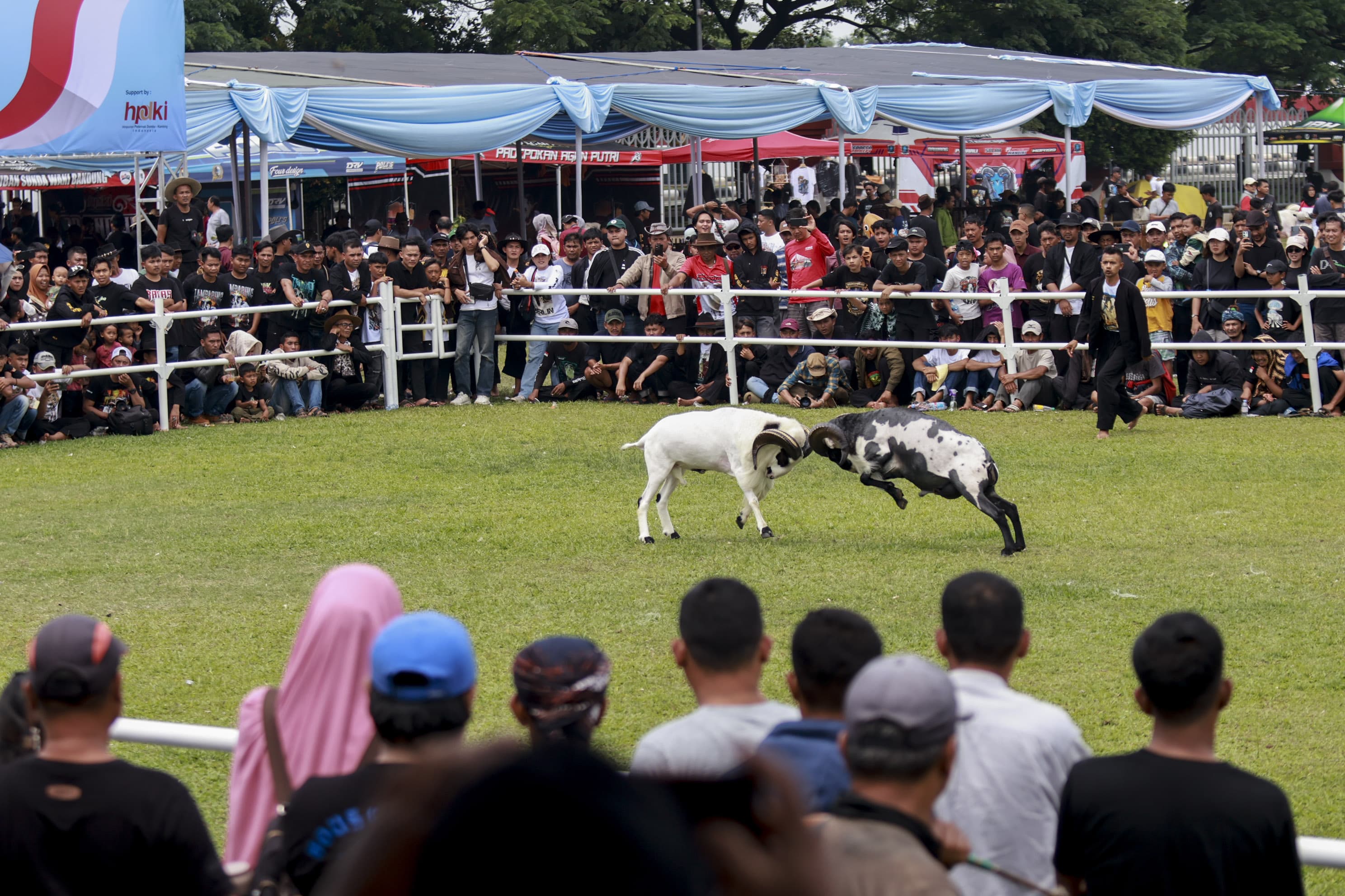 Kabupaten Bogor Menjadi Tuan Rumah Hari Peternakan Nasional ke-189