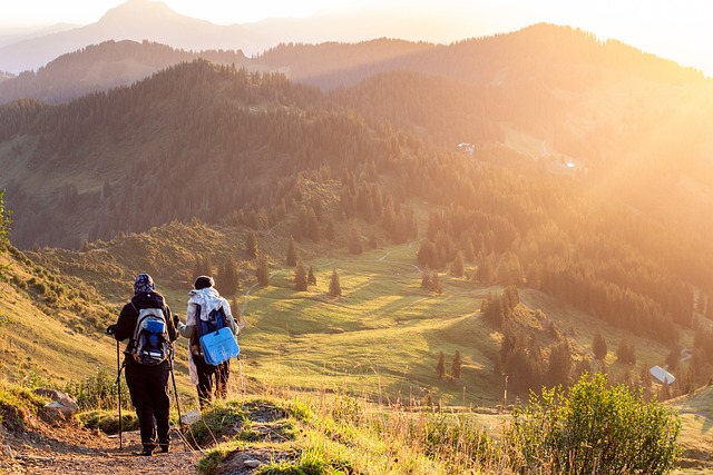 Jangan Gegabah! Ini 7 Tips Mendaki Gunung untuk Pemula Agar Aman Selama Pendakian 