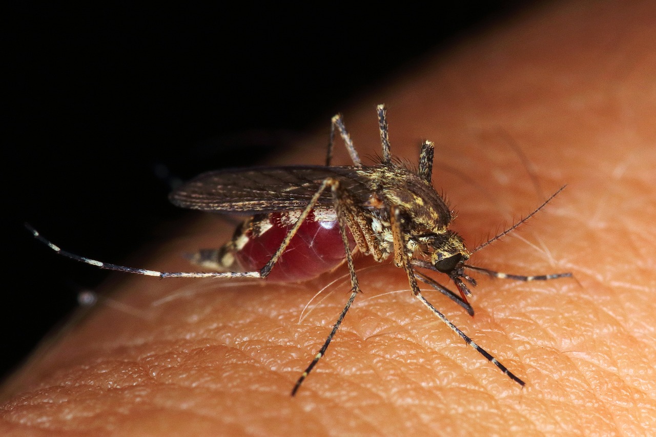 Potensi Nyamuk Wolbachia sebagai Penanggulangan Demam Berdarah Dengue (DBD) di Jawa Barat