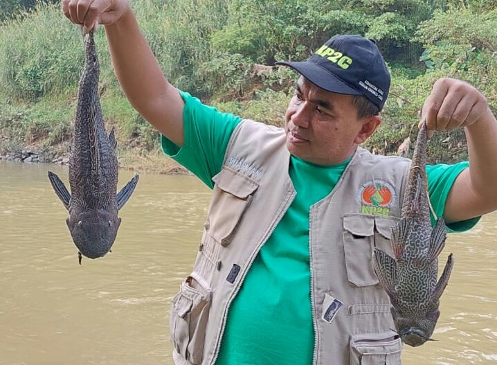 Ribuan Ikan di Sungai Bogor Mendadak Mati, KP2C Menduga Akibat Limbah B3