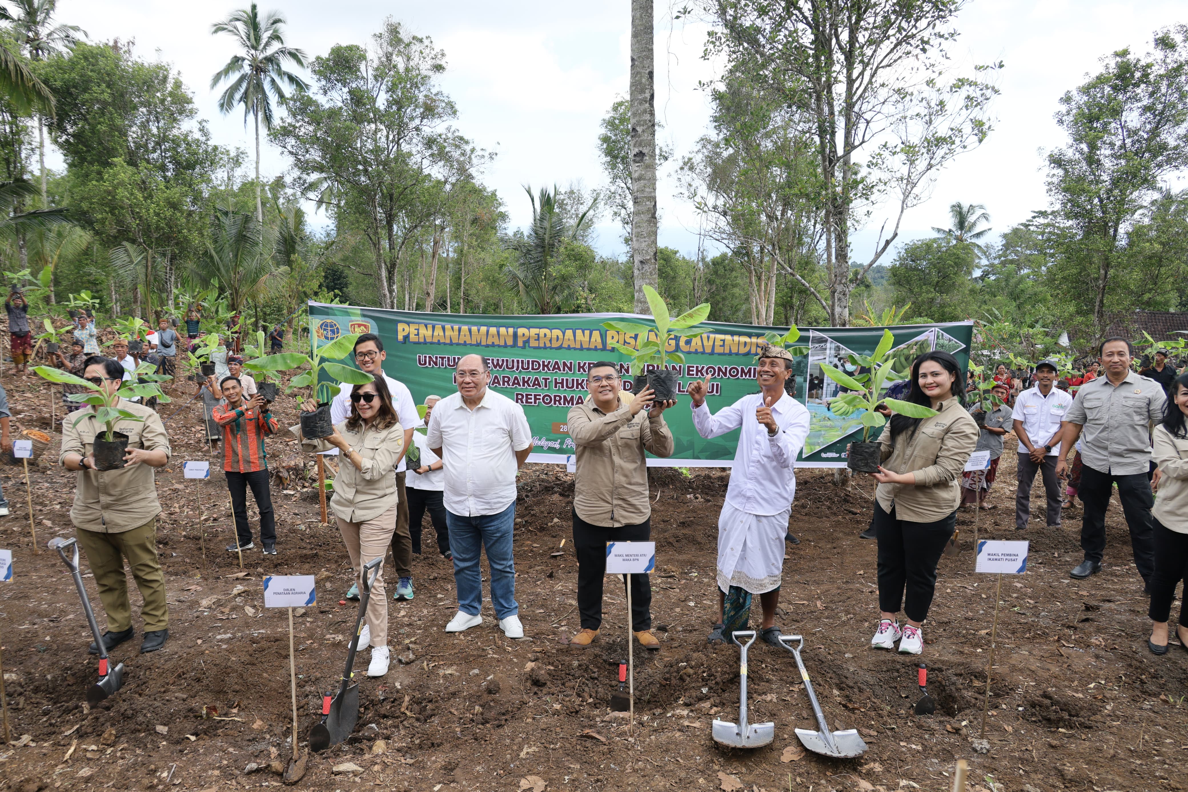 Wamen ATR/Waka BPN Tanam Pisang di Jembrana sebagai Langkah Perdana Penataan Akses Tanah Ulayat di Indonesia