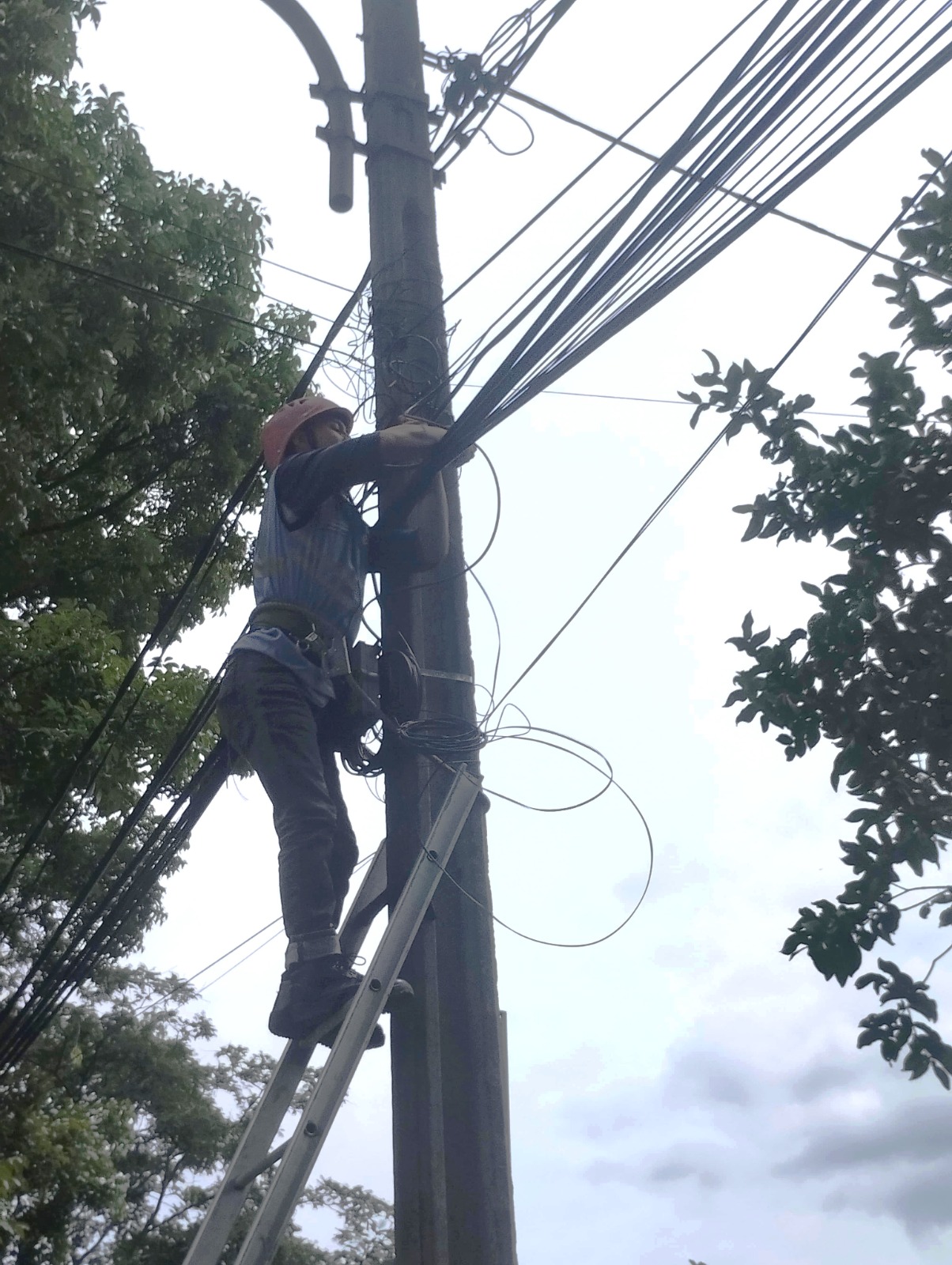 PLN Icon Plus Berkolaborasi Dengan Diskominfo Kota Bandung Untuk Memastikan Kehandalan Jaringan Telekomunikasi