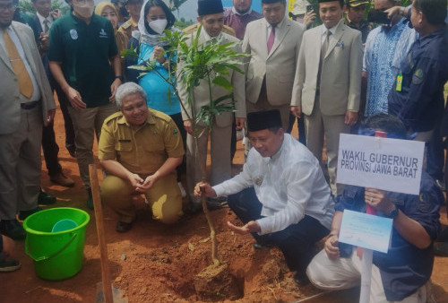 Lahan Kritis di Jabar Seluas 700 Ribu Hektare