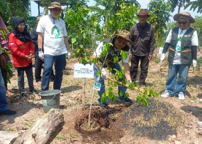 Peduli Lingkungan, Pegadaian Tanam 3000 Pohon Taman Kehati Bandung