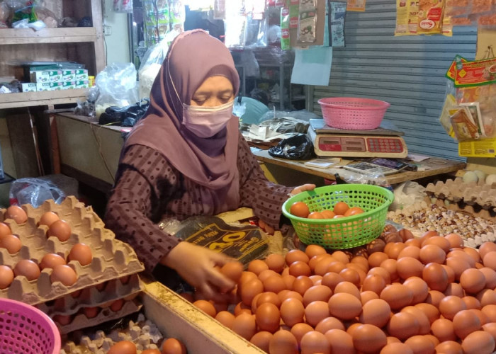 Harga Telur Ayam di Kota Bandung Melejit Hingga Rp32 Ribu Perkilo