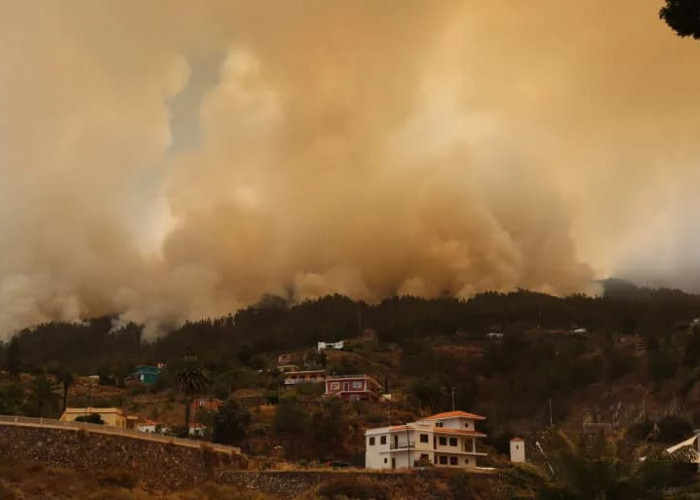 Dampak Kebakaran di Pulau La Palma: Sekitar 3.600 hektare Wilayah Spanyol Hangus