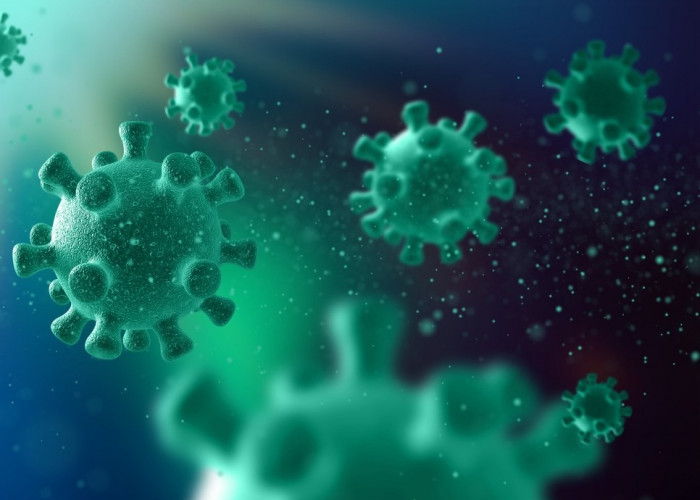 Kasus Hantavirus di Argentina Melonjak, Pemerintah Bersitegang dengan WHO