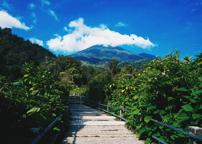 8 Fakta Menarik Gunung Gede Pangrango Jawa Barat, Nomor 1 Tidak Banyak Orangtau!   