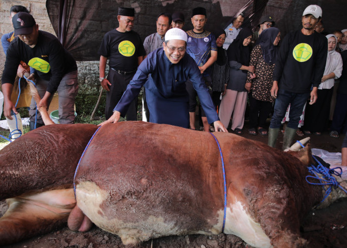 KDS Apresiasi Bantuan Sapi Kurban Presiden untuk Warga Dayeuhkolot