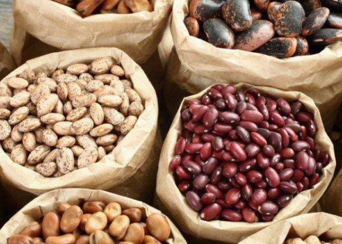 Mitos atau Fakta: Kacang Menimbulkan Jerawat?