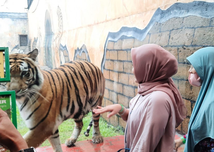 Objek Wisata Lembang Park and Zoo Diserbu Pengunjung