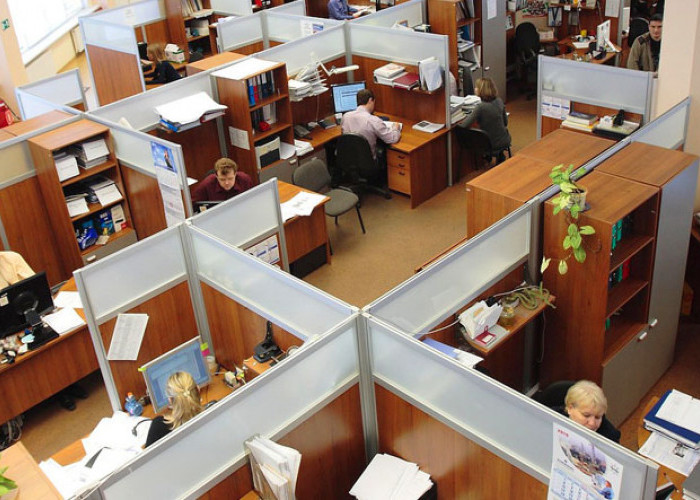10 Tipe Karyawan di Kantor, Yang Manakah Kamu?