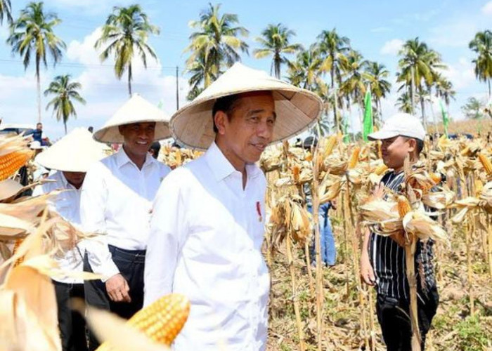 Presiden Jokowi Tanda Tangani UU Desa dan Memperpanjang Masa Jabatan Kades