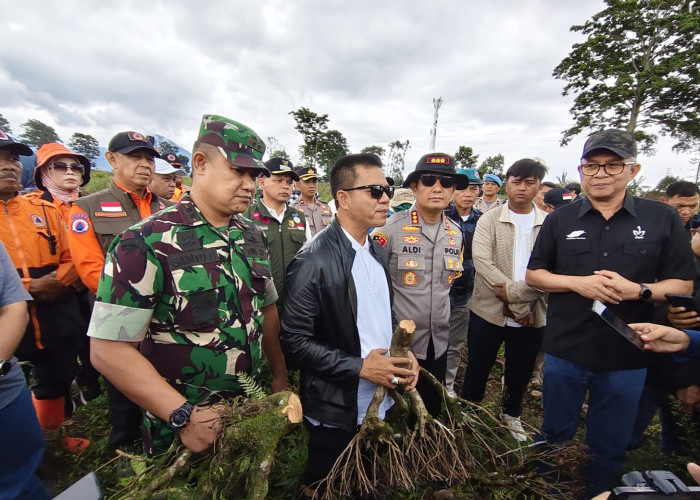 Bupati Bandung Dadang Supriatna Minta Penebangan Liar di Pengalengan Diproses Hukum