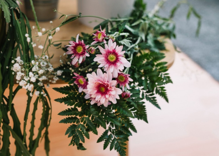 7 Tanaman Hias untuk Lebaran, Bikin Suasana Makin Segar dan Wangi